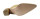 Kevin Stahl Damen Western Clog Beige 37 EU