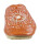 Andrea Doria Mädchen Pantoffel Orange 34 EU